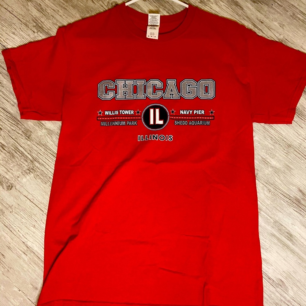 Chicago Illinois - Navy Pier